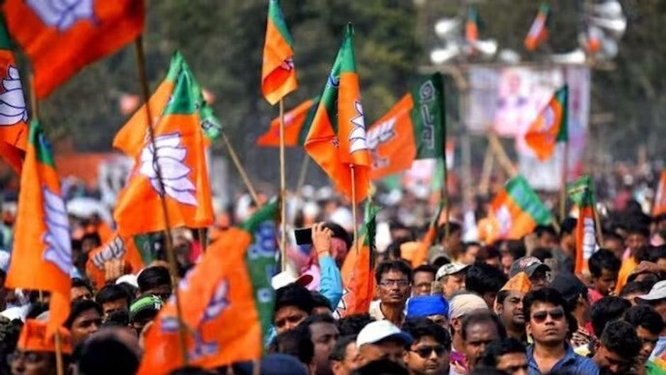 BJP Flags