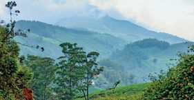 हरियाली को लेकर राज्यों के कितने किंतु-परंतु western ghats