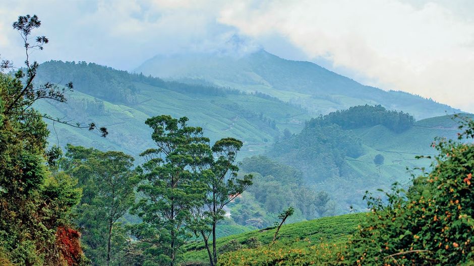 western ghats