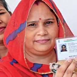 राजस्थान में BJP से ऊंची जातियों की 'नाराजगी' का फायदा निर्दलीयों को मिल रहा? राजस्थान नगर निकाय चुनाव में BJP और कांग्रेस के बाद निर्दलीय तीसरी बड़ी ताकत बने हैं (सांकेतिक तस्वीर)