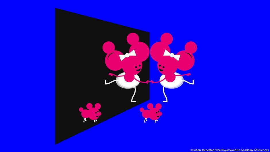 How 2026 Nobel in Chemistry winners solved a century-old chemistry mystery