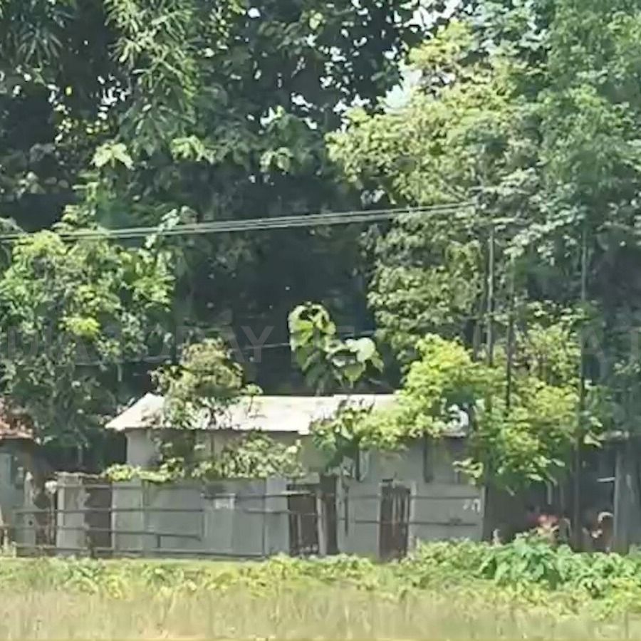 जंगल की जमीन पर बने घर (सांकेतिक तस्वीर)