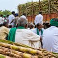 यूपी में गन्ने के दाम बढ़ाने की मांग क्यों कर रहे किसान? गन्ना किसान (सांकेतिक तस्वीर)