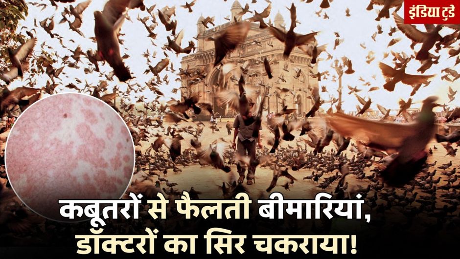 मुंबई में कबूतरों को दाना खिलाने की पुरानी तस्वीर