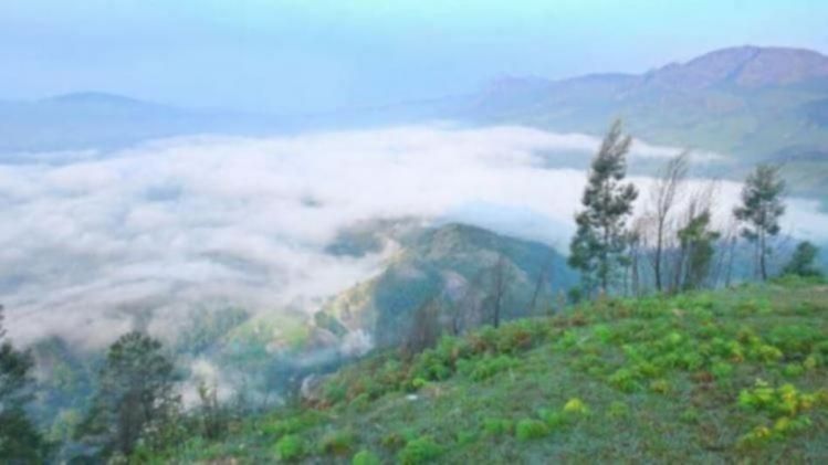 Buffer zone survey ബഫർ സോൺ ഇടുക്കിയിലെ ഫീൽ‍ഡ് സർവേ പൂർത്തിയായി Buffer Zone Field survey at