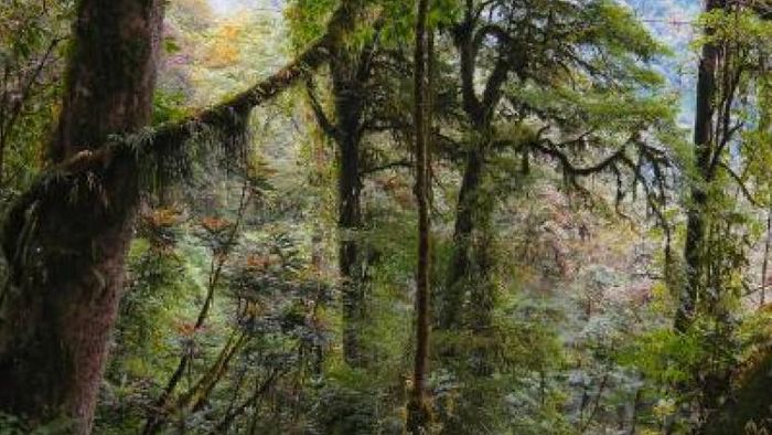 Khangchendzonga National Park