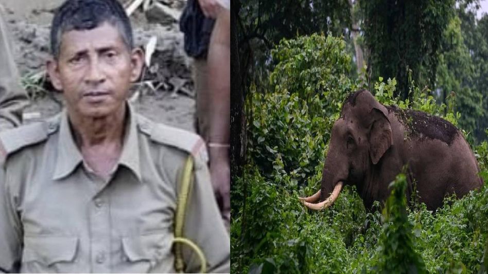Assam: Forest official killed while three others injured in wild elephant attack in Titabor Assam: Forest official killed while three others injured in wild elephant attack in Titabor