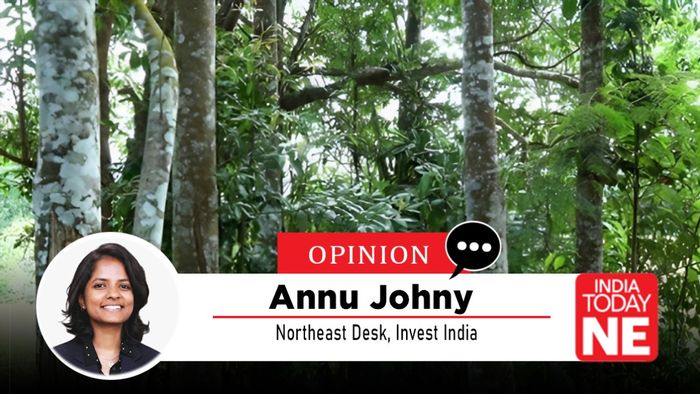 Tripura’s strides towards Rs 20 billion Agarwood Industry