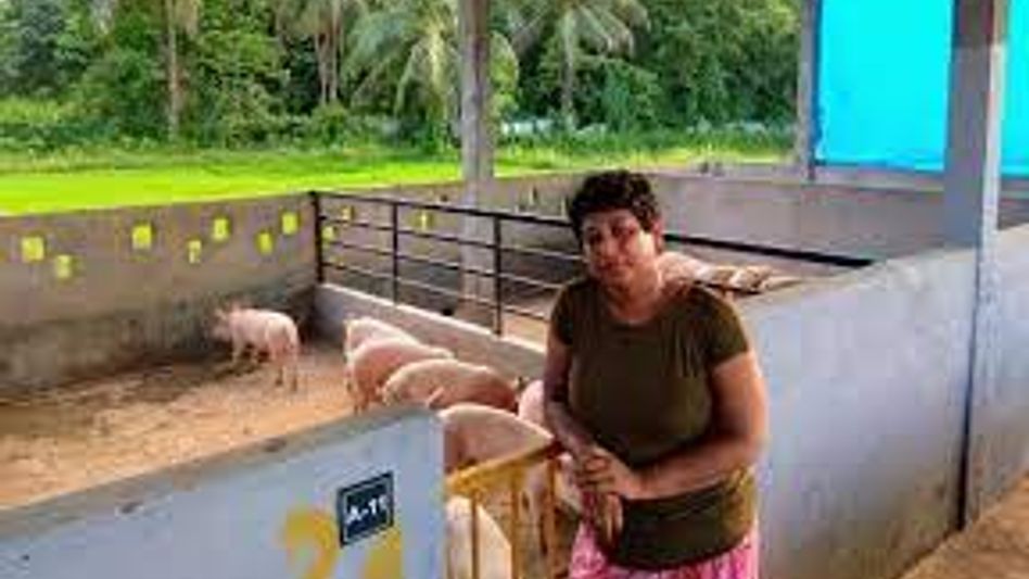 Meet Runa Rafique, the only Female Muslim 'Piggery' Entrepreneur from Assam Meet Runa Rafique, the only Female Muslim 'Piggery' Entrepreneur from Assam