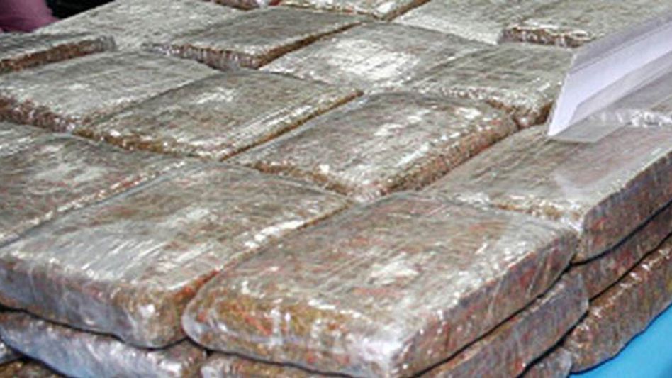 1000 KG MARIJUANA SEIZED IN GUWAHATI 1000 KG MARIJUANA SEIZED IN GUWAHATI