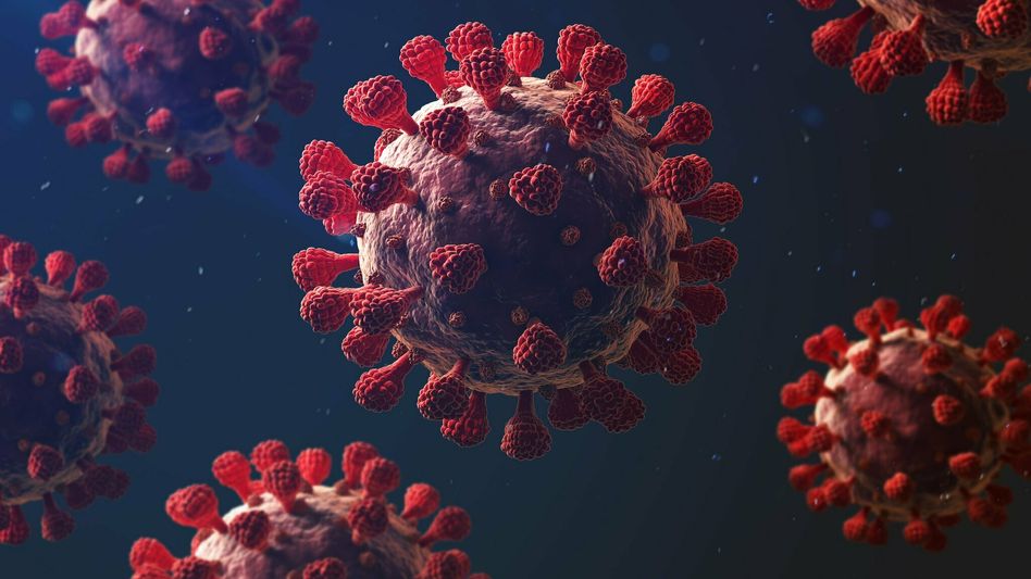 India’s Omicron tally mounts to 1,270; daily Covid-19 cases witnesses spike at 16,764 India’s Omicron tally mounts to 1,270; daily Covid-19 cases witnesses spike at 16,764
