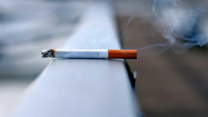 Five Northeastern states record high tobacco consumption among school children in India