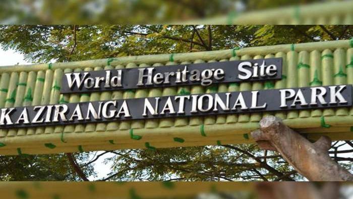 Assam: Creation of eco-sensitive zones, delineation of elephant corridors in KNP discussed