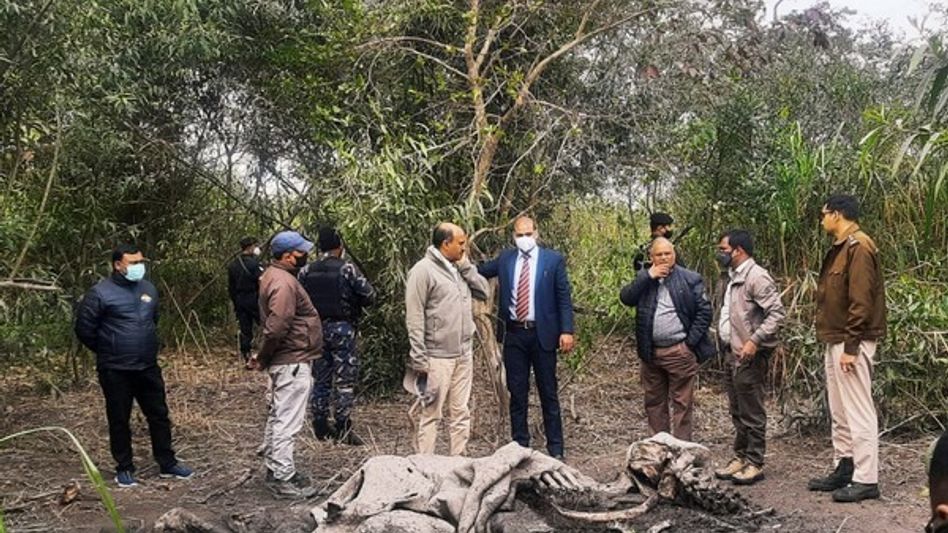 Assam: Commando Force to be deployed at Kaziranga National Park to intensify anti-poaching operations Assam: Commando Force to be deployed at Kaziranga National Park to intensify anti-poaching operations