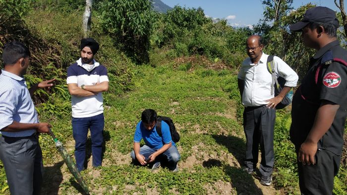 Saffron successfully cultivated in Sikkim for the first time