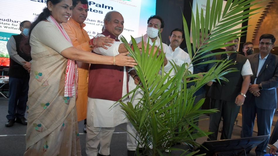 Northeastern region to turn into oil palm hub of India: Tomar Northeastern region to turn into oil palm hub of India: Tomar
