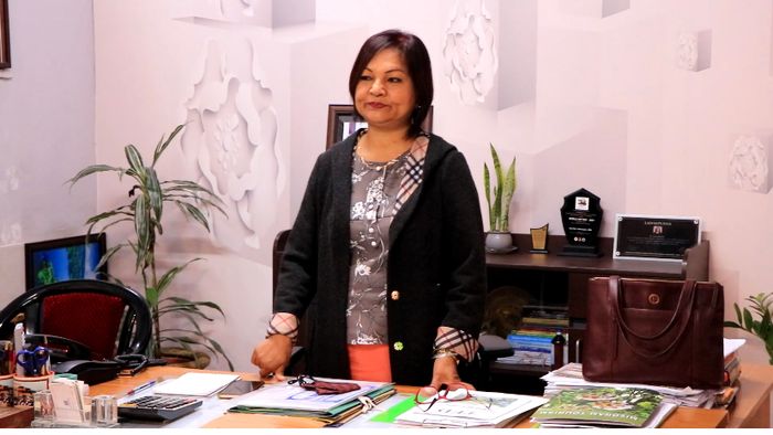 Mizoram: Online Art Workshop organised by Art Development society inaugurated today