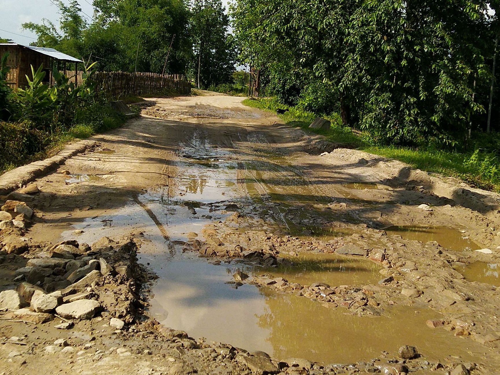 Mariani-Mokokchung road