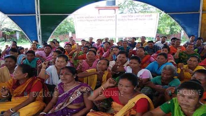conad sangma