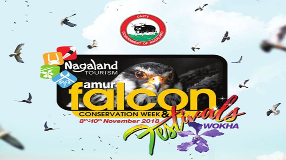 FIRST EVER AMUR FALCON CONSERVATION WEEK AND FESTIVALS TO BE HELD IN NAGALAND FIRST EVER AMUR FALCON CONSERVATION WEEK AND FESTIVALS TO BE HELD IN NAGALAND