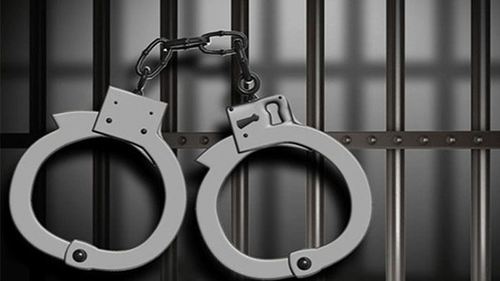 chinese national apprehended