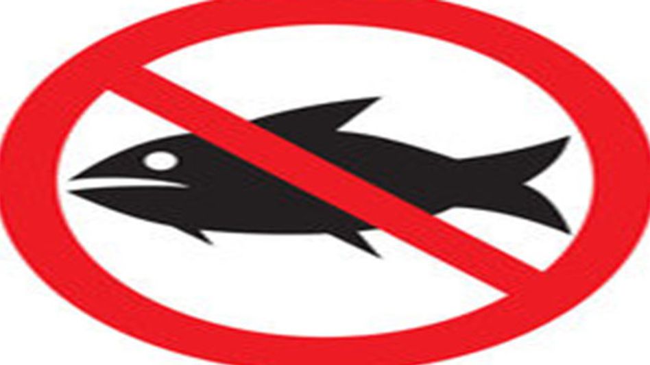 Meghalaya to lift ban on fish import from Aug 22 Meghalaya to lift ban on fish import from Aug 22