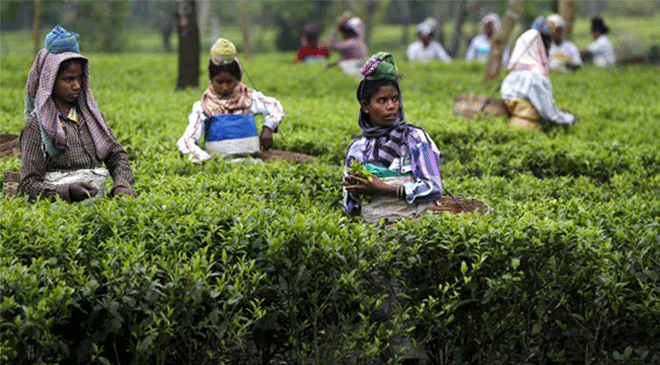 Assam Sets Up 'Temporary Home Quarantine Camps' in Preparation for COVID-19 Assam Sets Up 'Temporary Home Quarantine Camps' in Preparation for COVID-19