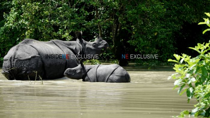 Kaziranga National Park assam gets over 3,000 additional hectres