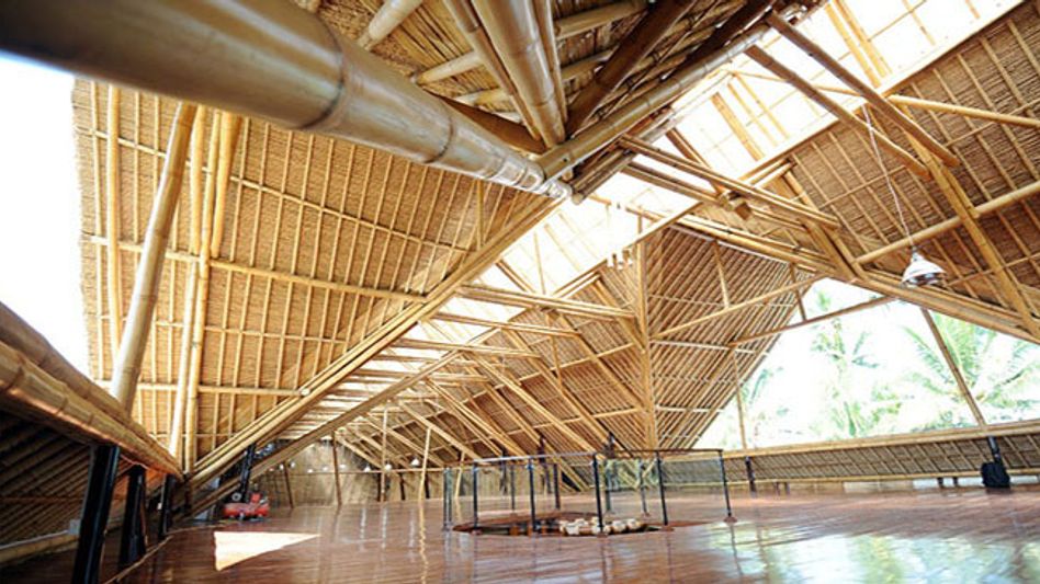 Mizoram extends Centre's ambition on bamboo development Mizoram extends Centre's ambition on bamboo development