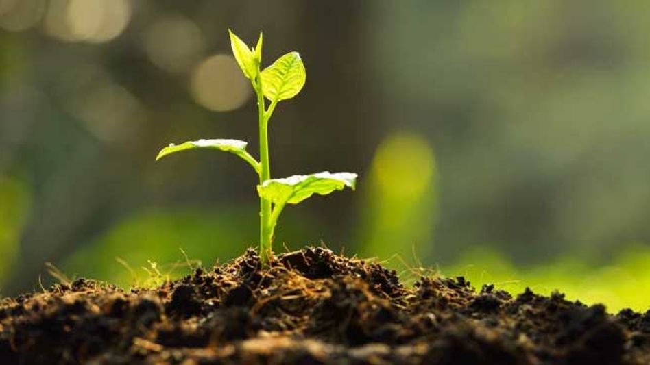 Turkey Plants 11 Million Saplings on 'National Forestation Day' Turkey Plants 11 Million Saplings on 'National Forestation Day'