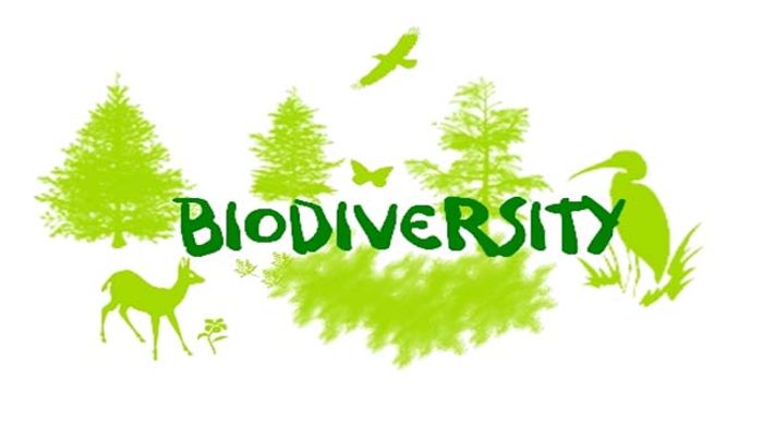 biodiversity
