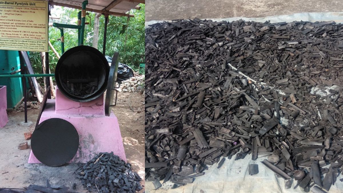 Tripura: Forest Research Centre develops alternative energy source