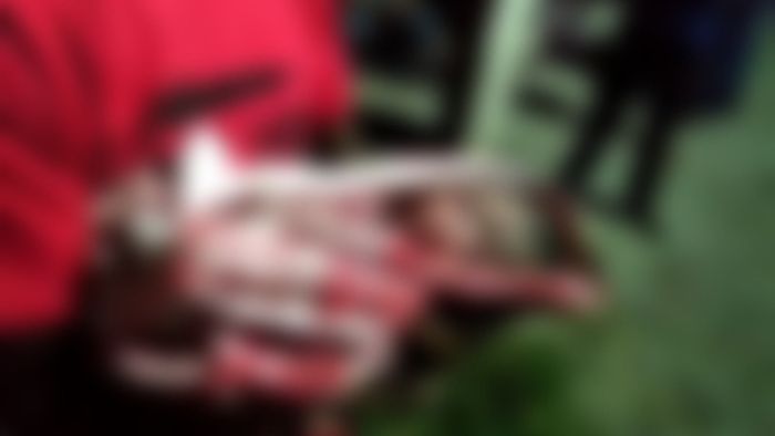 Abandoned baby girl found on the road in Assam's Tamulpur