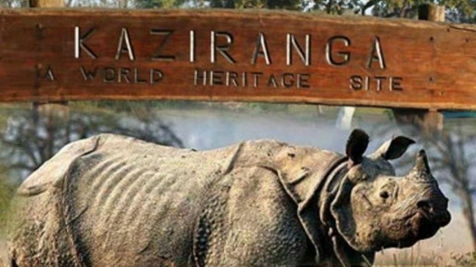 Assam closes all national parks, wildlife sanctuaries in the state for visitors Assam closes all national parks, wildlife sanctuaries in the state for visitors