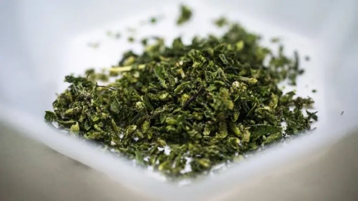 Arunachal Pradesh police seize cannabis worth Rs 50 lakhs, one held