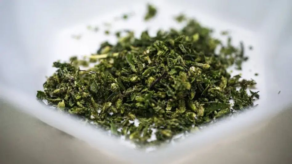 Arunachal Pradesh police seize cannabis worth Rs 50 lakhs, one held Arunachal Pradesh police seize cannabis worth Rs 50 lakhs, one held