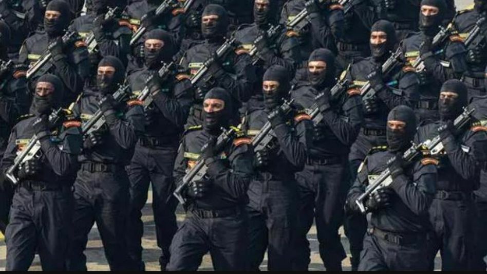 Manipur police destroy massive cache of narcotics in Imphal West Manipur police destroy massive cache of narcotics in Imphal West
