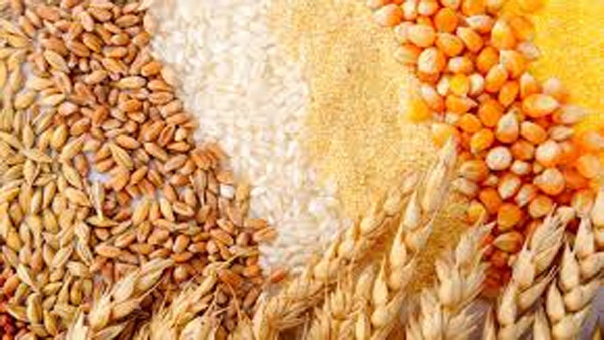 Centre approves Essential Commodities Act, cereals, pulses removed from list