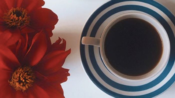 Coffee- Natural booster