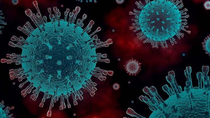 India reports 53,480 fresh COVID-19 cases, 354 deaths over 24 hours