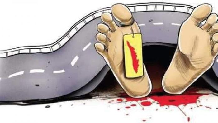 1 killed,6 injured as vehicles collide in Kaziranga