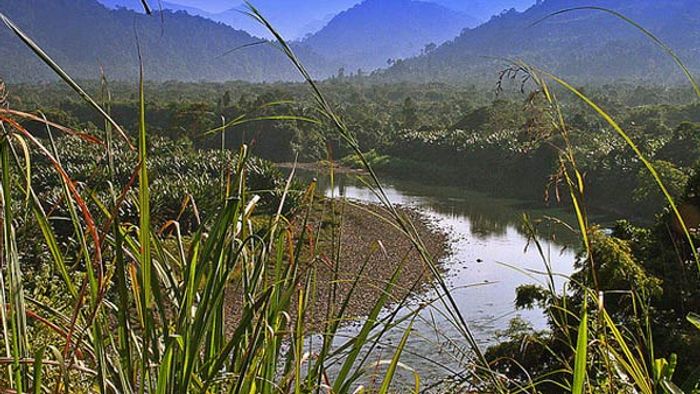A river that flows through Dimapur district of Nagaland (file image)
