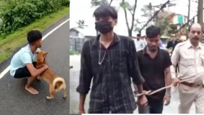 Bongaigaon man booked for torturing Dog after video goes viral