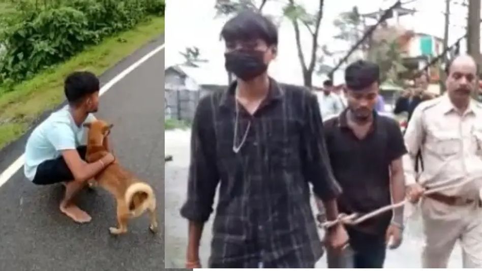Bongaigaon man booked for torturing Dog after video goes viral Bongaigaon man booked for torturing Dog after video goes viral