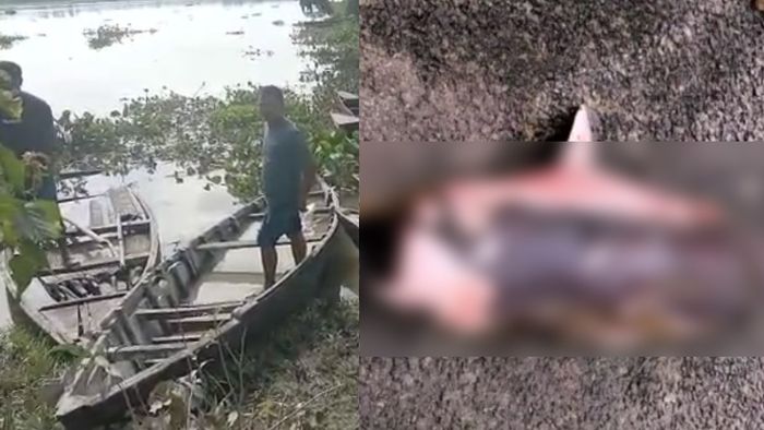 Assam: OIL’s failure to curb gas leak endangers Dibru-Saikowa's wildlife