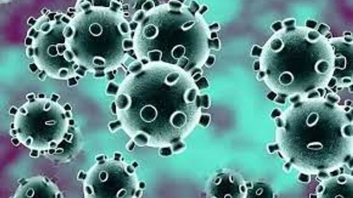 Nagaland reports three fresh COVID-19 cases, one death reported