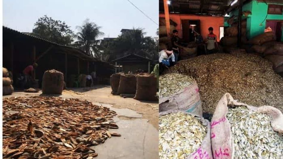 Exclusive: After paper mill, Jagiroad dry fish market's fate hangs in balance Exclusive: After paper mill, Jagiroad dry fish market's fate hangs in balance