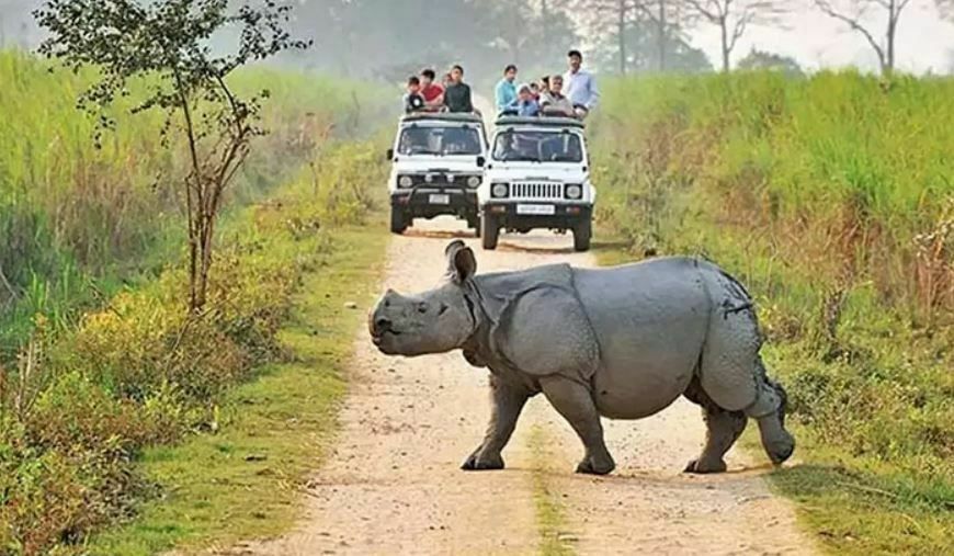 Assam tourism sector hit hard by COVID19; Kaziranga suffers too