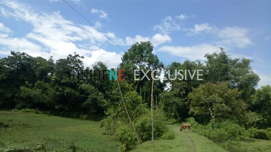 Power supplied using bamboo poles in Kokrajhar Power supplied using bamboo poles in Kokrajhar
