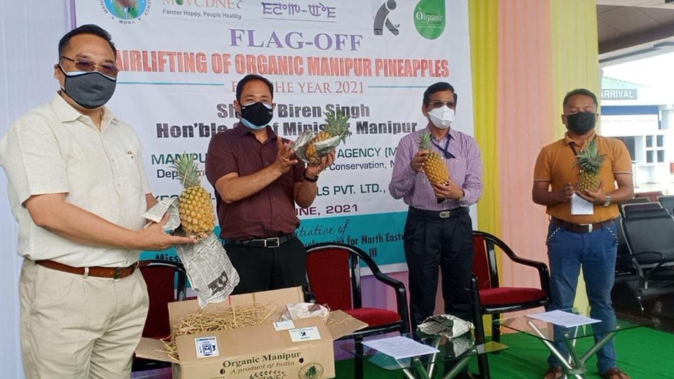 Manipur begins export of organic pineapples to other states Manipur begins export of organic pineapples to other states